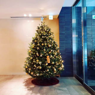 クリスマスツリーレンタル もみの木 モミの木レンタル 本物 生木